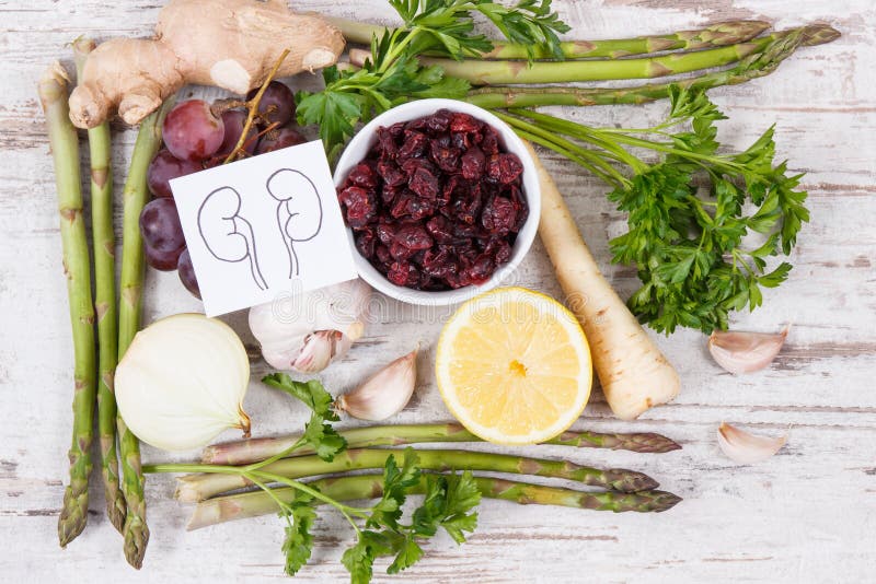 Drawing of Kidneys and Healthy Eating As Source Vitamins and Minerals