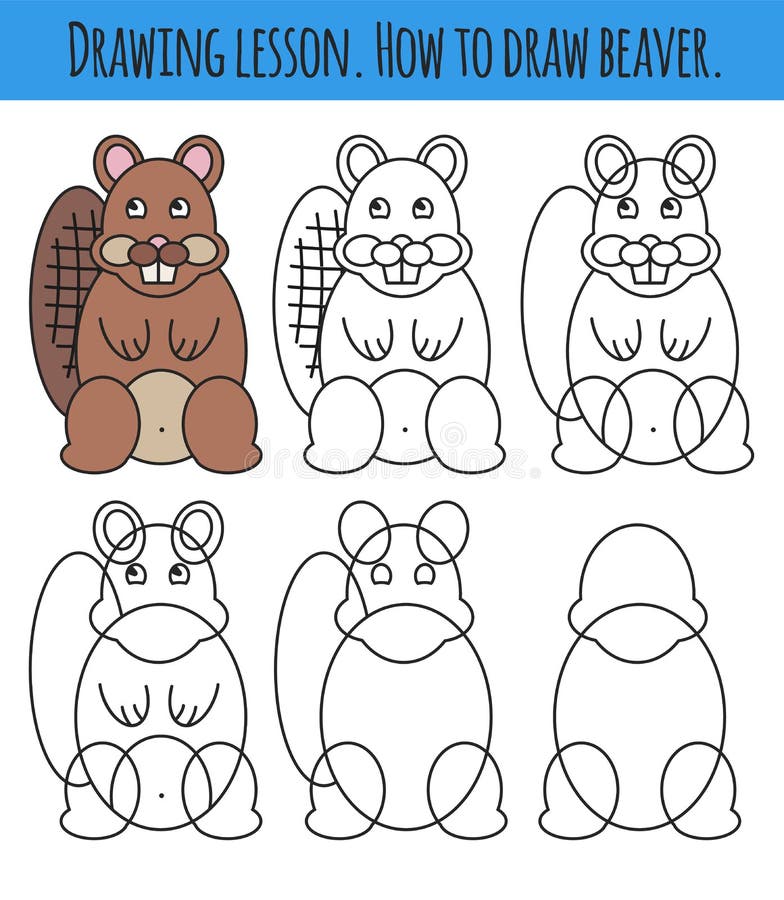 Drawing Lesson for Children. How Draw a Cartoon Cute Bever. Drawing  Tutorial with Funny Cartoon Animal Stock Illustration - Illustration of  character, page: 144035185
