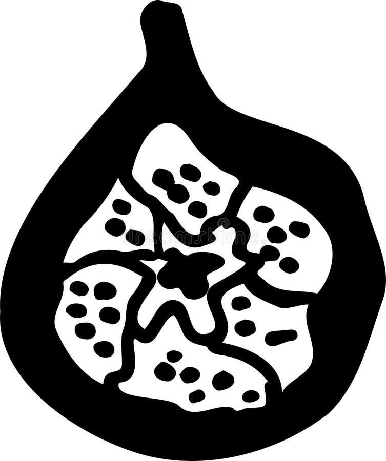 Logo icon fig fruit stock vector. Illustration of foliage 208834205