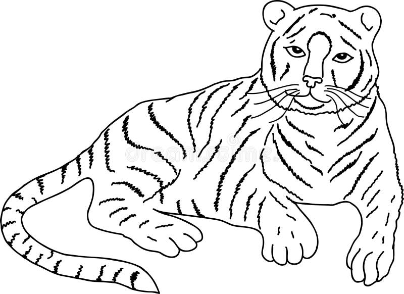 Cute tiger with yellow fur line art on Craiyon