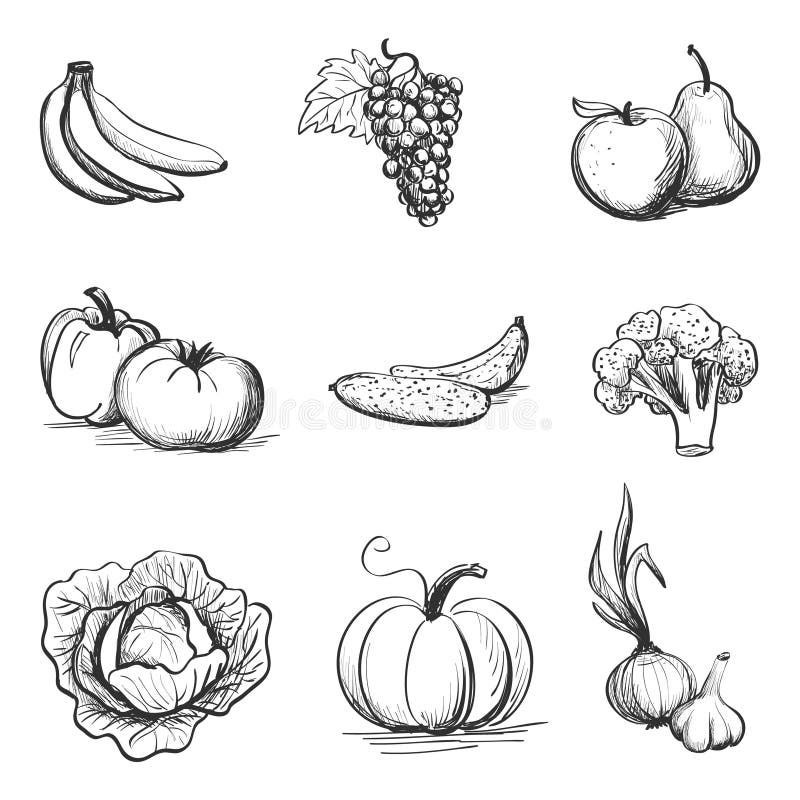 Vegetables Line Drawing Stock Vector Illustration and Royalty Free  Vegetables Line Drawing Clipart