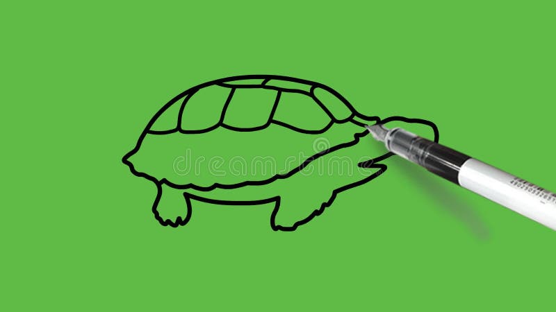 drawing tortoise black brown yellow pink green colour combination abstract background 220515464