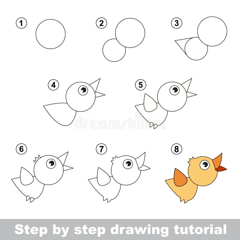 Drawing Tutorial. How To Draw A Bird Stock Vector - Illustration of