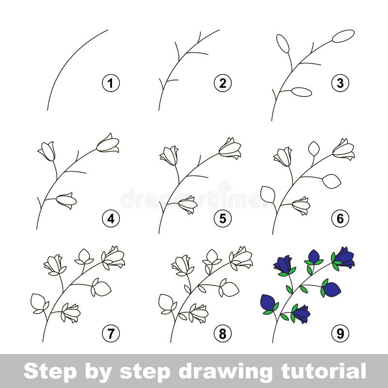 Drawing Tutorial How To Draw A Bluebell Stock Vector Illustration Of Logic Funny