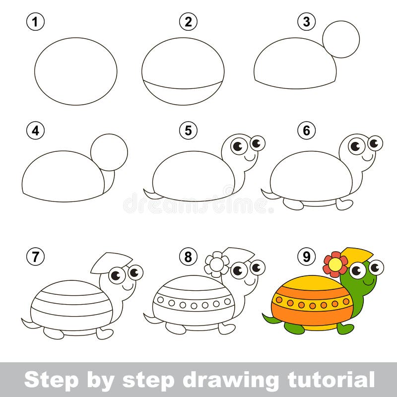 Drawing Tutorial. How To Draw a Turtle Stock Vector - Illustration of