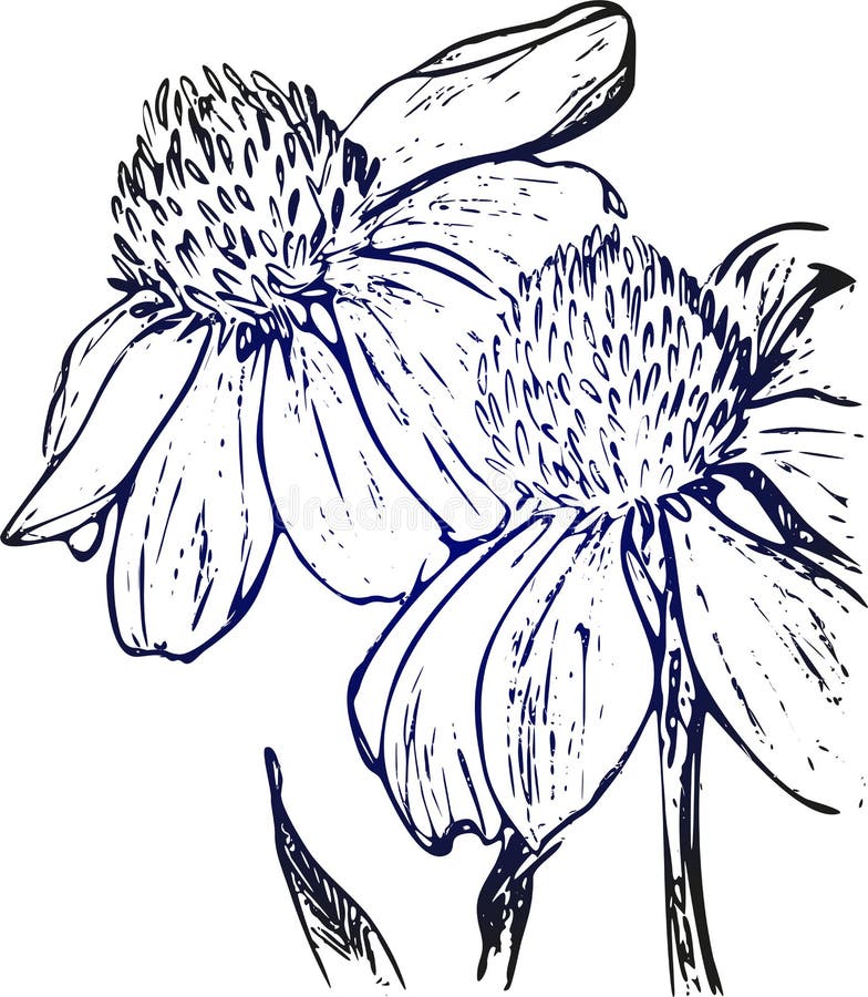 Drawing Vector Graphics with Floral Pattern for Design. Floral Flower