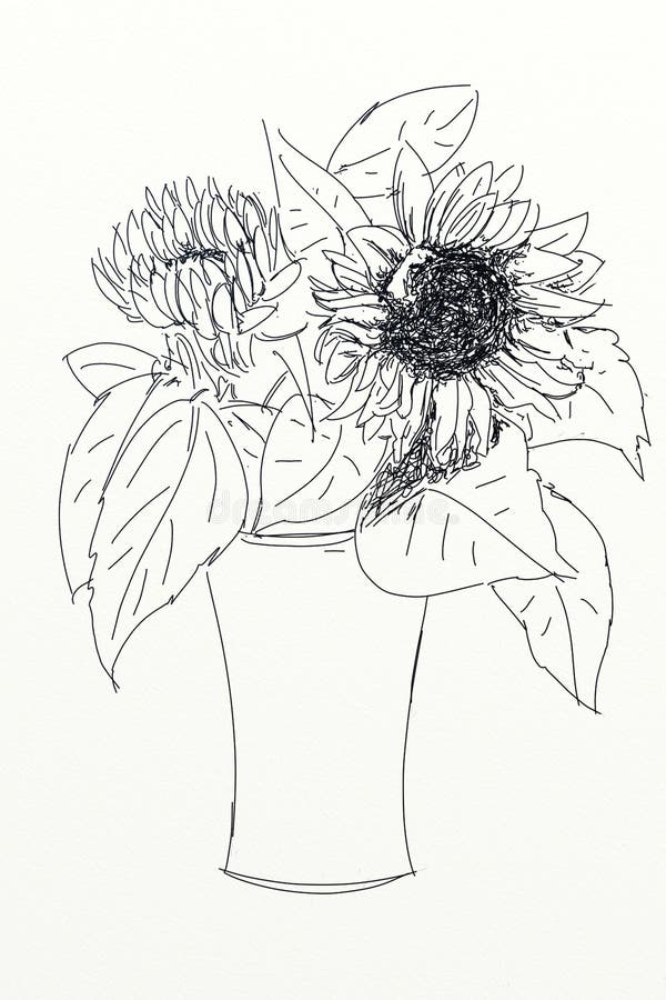 Drawings of flowers with leaves