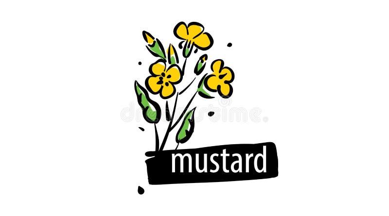 Drawn Mustard isolated on a white background stock illustration