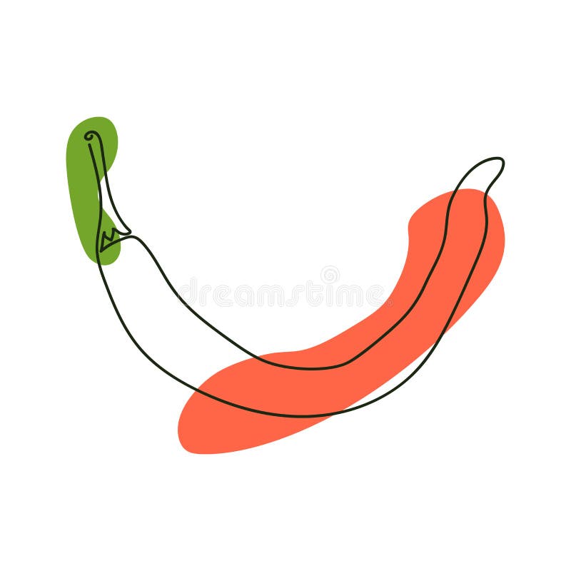 Drawn one bitter pepper by dark solid line stock illustration