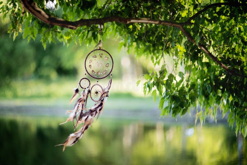 Dreamcatcher, american native amulet in forest. Shaman