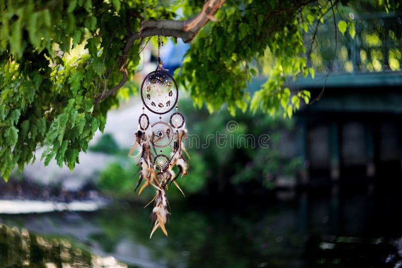 Dreamcatcher, amuleto indigeno americano nello sciamano della foresta immagini stock libere da diritti Dreamcatcher, amuleto indigeno americano nello sciamano della foresta immagini stock libere da diritti