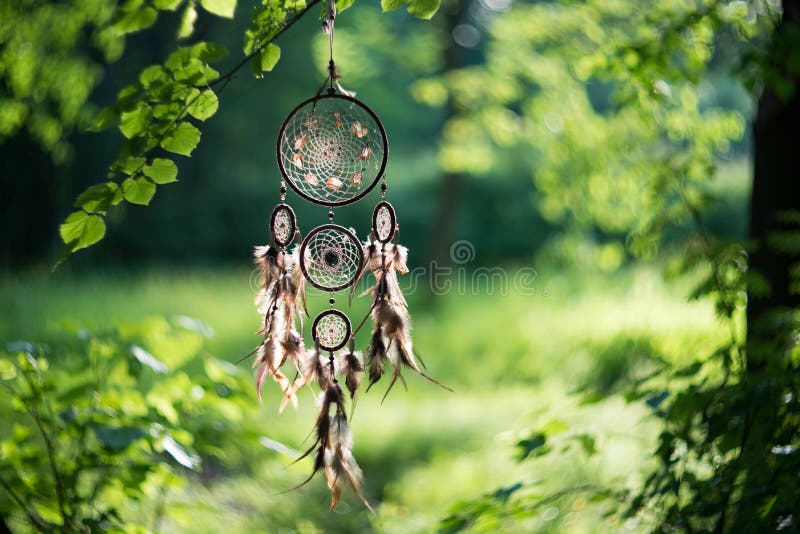 Dreamcatcher, amuleto indigeno americano nello sciamano della foresta fotografie stock Dreamcatcher, amuleto indigeno americano nello sciamano della foresta fotografie stock
