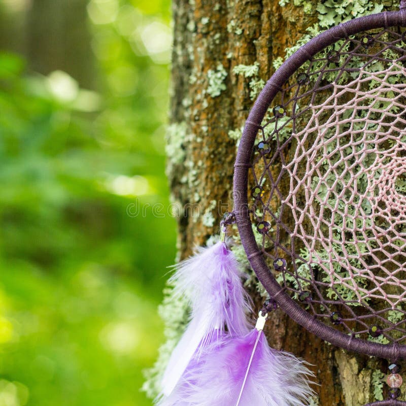 Dreamcatcher made of feathers, leather, beads, and ropes royalty free stock images