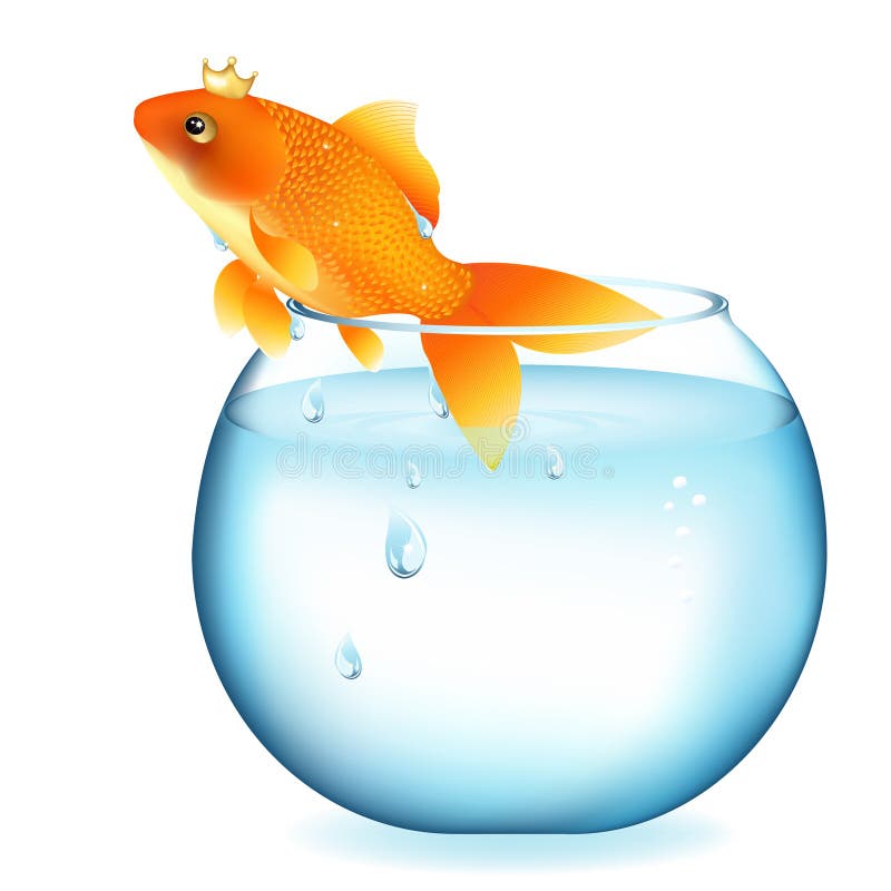 Goldfish Fish Bowl Clip Art Stock Illustration - Illustration of drawn ...