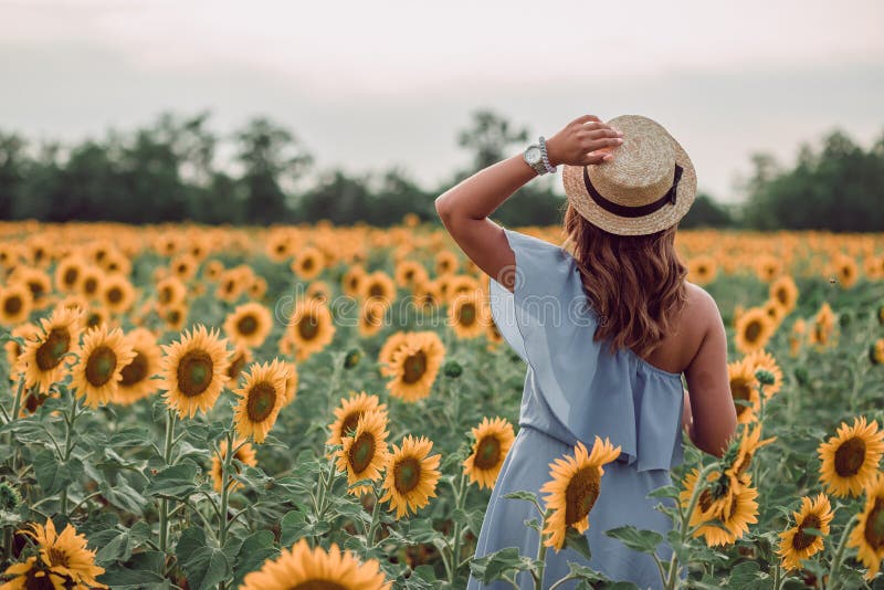 Dreaming young woman in blue dress and hat walking away in a field of sunflowers at summer, view from her back. Holding a hat with