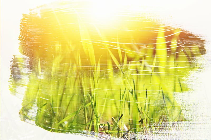 dreamy and abstract image of the meadow with green young grass. double exposure effect with watercolor brush stroke texture. royalty free stock photography dreamy and abstract image of the meadow with green young grass. double exposure effect with watercolor brush stroke texture. royalty free stock photography