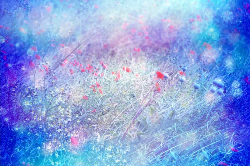 Dreamy artistic meadow of poppies stock photos Dreamy artistic meadow of poppies stock photos