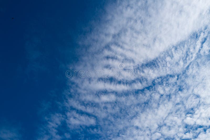 Dreamy cloudscape above. Sky with white clouds. Sky background design. Many clouds. Puffy cumulus clouds drifting. Light and royalty free stock photography