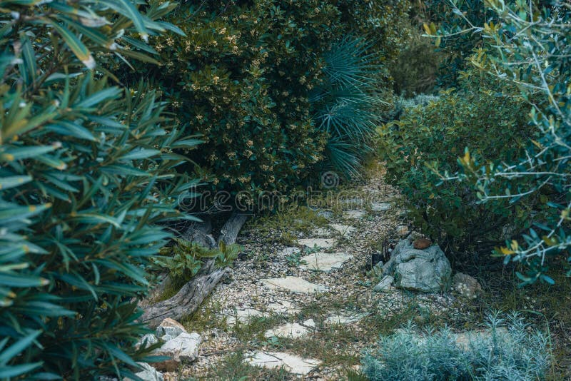 Dreamy grassy path with stones leading into unknown. Colorful green path lined with different mediterranean plants.. royalty free stock images