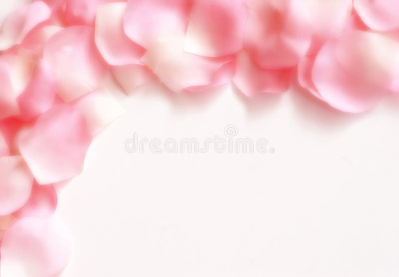 Dreamy Rose Petal Border