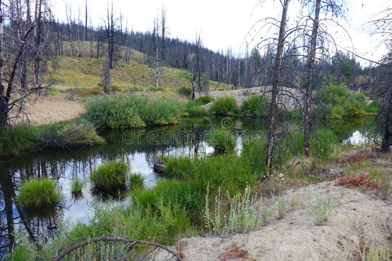 who can dredge a pond in illinois who can dredge a pond in illinois