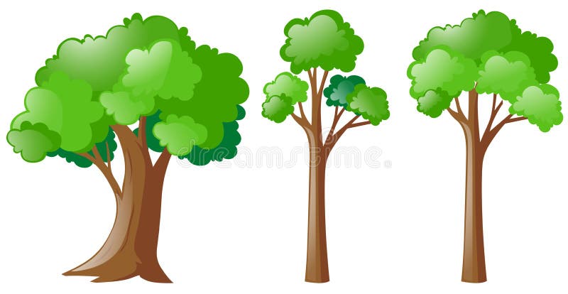 Drei Arten Baum lizenzfreie abbildung Drei Arten Baum lizenzfreie abbildung
