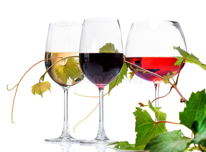 Drei Gläser Wein stockbild Drei Gläser Wein stockbild
