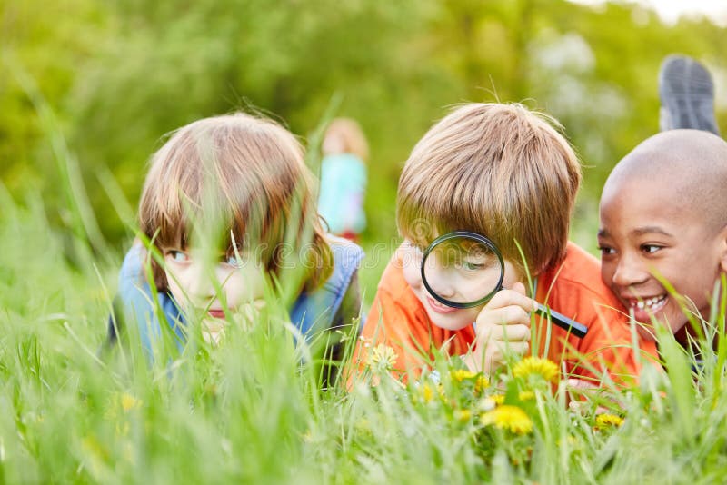 Three children in the grass explore and discover nature and the environment with a magnifying glass. Three children in the grass explore and discover nature and the environment with a magnifying glass