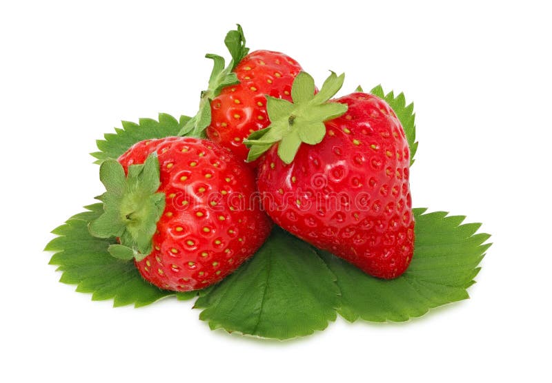 Drei reife Erdbeeren mit den grünen Blättern (lokalisiert) stockfotos Drei reife Erdbeeren mit den grünen Blättern (lokalisiert) stockfotos