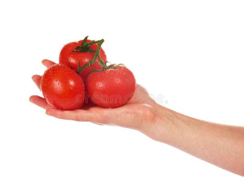 These are tomatoes