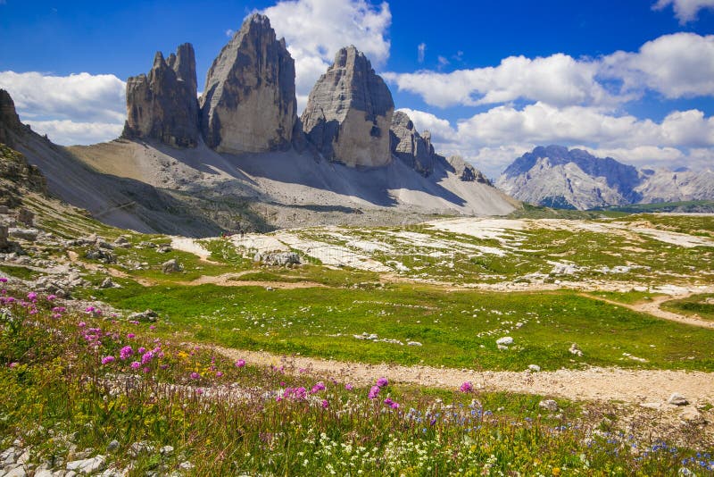 Drei Zinnen or Tre Cime di Lavaredo with beautiful flowering meadow, Sextener Dolomiten or Dolomiti di Sesto, South Tirol, Italy royalty free stock images Drei Zinnen or Tre Cime di Lavaredo with beautiful flowering meadow, Sextener Dolomiten or Dolomiti di Sesto, South Tirol, Italy royalty free stock images