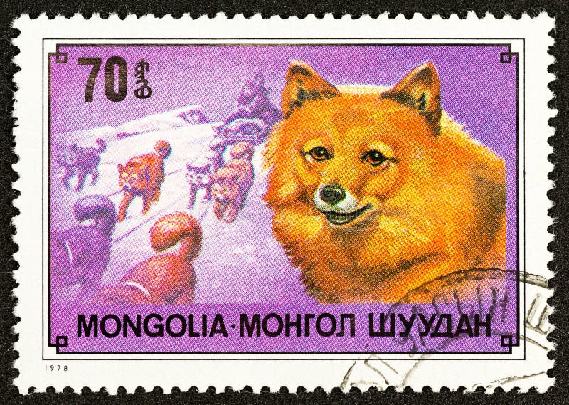 Dresde, Sajonia, Alemania - 11 07 2019: un sello impreso en Mongolia muestra perros domésticos, 1978 fotografía de archivo libre de regalías Dresde, Sajonia, Alemania - 11 07 2019: un sello impreso en Mongolia muestra perros domésticos, 1978 fotografía de archivo libre de regalías