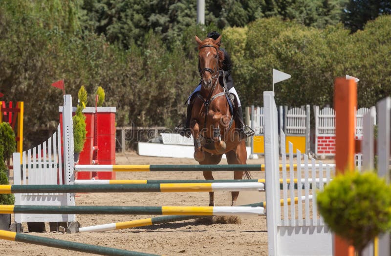 Dressage competitions