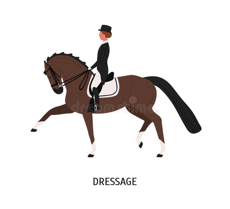 Dressage, horseback riding flat vector illustration. Equestrienne cartoon character. Hoss training, competition