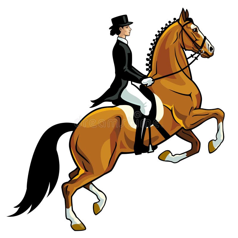 Dressage rider