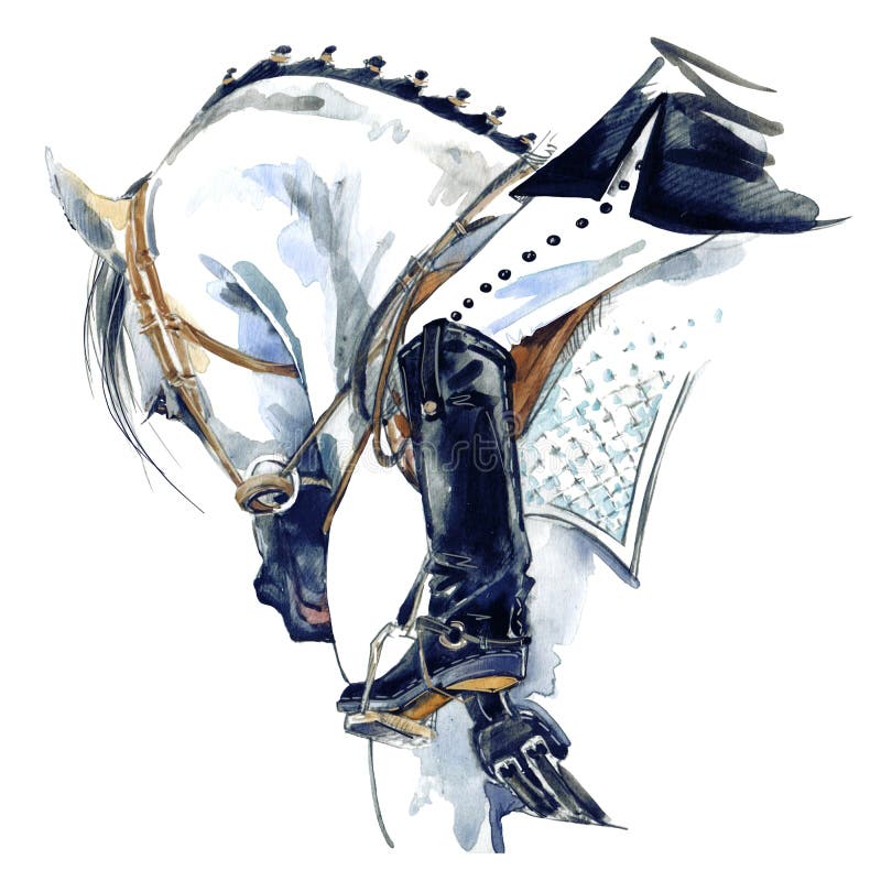 Dressage sport horse with rider. Watercolor horse illustration. stock illustration Dressage sport horse with rider. Watercolor horse illustration. stock illustration