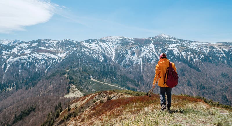 Dressed bright orange jacket backpacker walking by blueberry field using trekking poles with mountain range background, Slovakia.