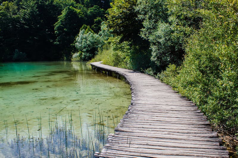 Drewniany przejście otaczający z kryształem - jasna woda i drzewa w parka narodowego Plitvice jeziorach w Chorwacja obraz stock Drewniany przejście otaczający z kryształem - jasna woda i drzewa w parka narodowego Plitvice jeziorach w Chorwacja obraz stock