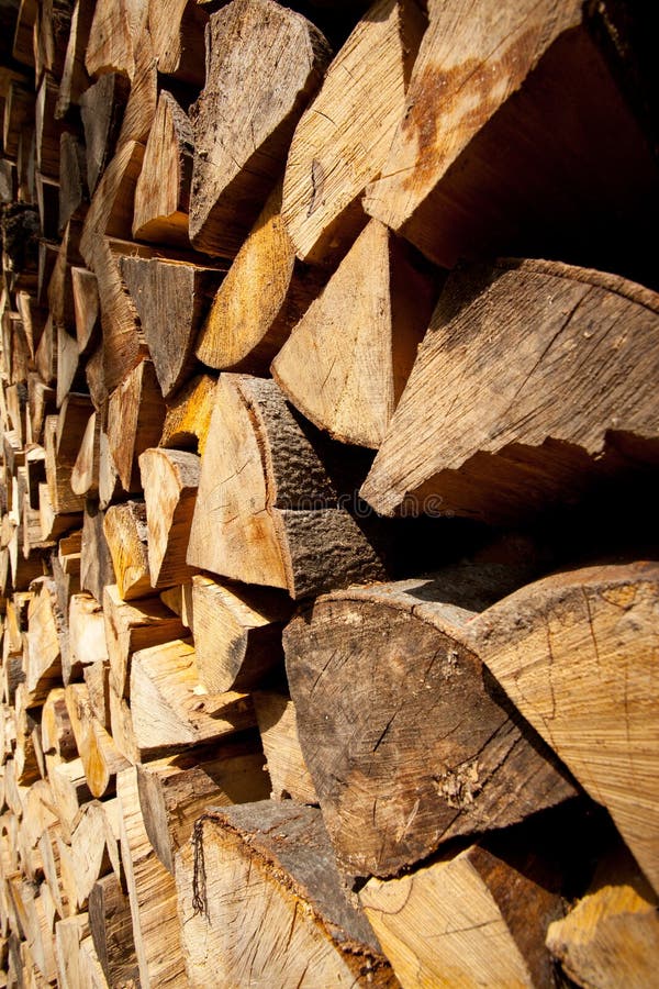 Treatment of wood, forestry. Forest business. Treatment of wood, forestry. Forest business.