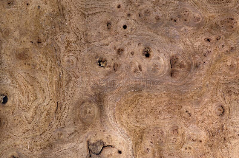 Drewno zbożowa tekstura, egzota fornirowy tło