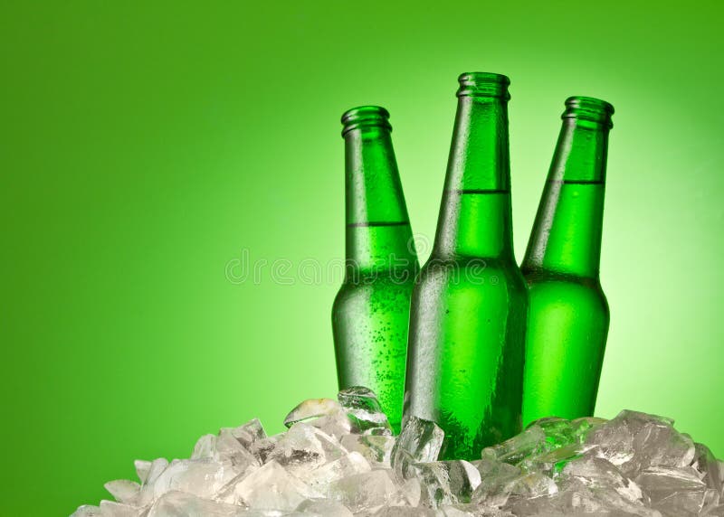 Three beer bottles getting cool in ice cubes. Isolated on a green. Three beer bottles getting cool in ice cubes. Isolated on a green.