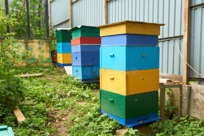 Three beehives with colorful sections for bees to recognise their homes. Three beehives with colorful sections for bees to recognise their homes