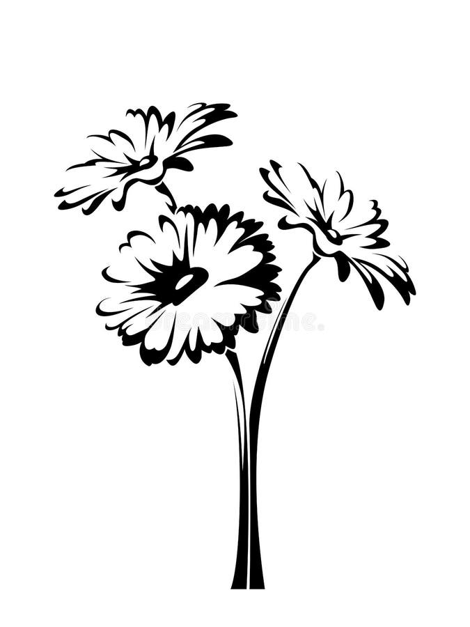 Drie gerbera's. Vector zwart-wit illustratie vector illustratie