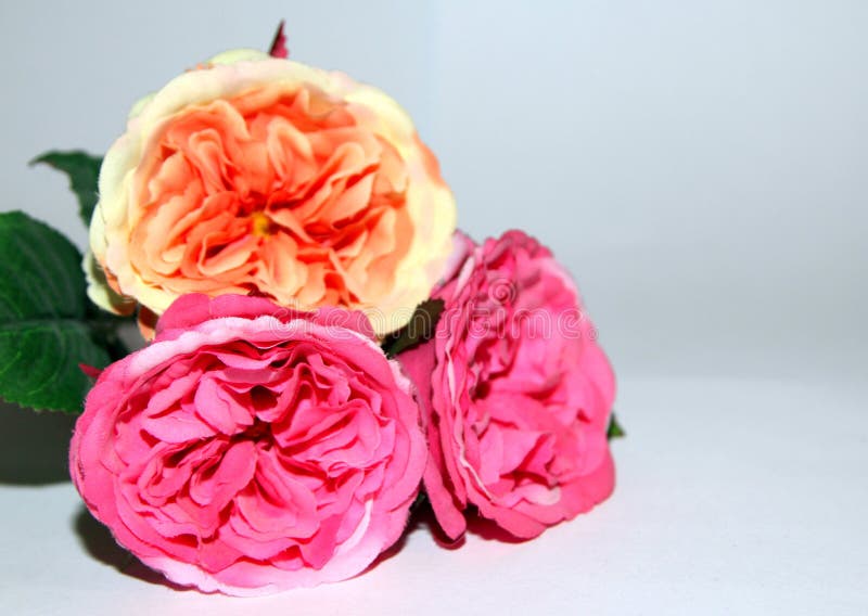 Drie bloemen van liefde royalty-vrije stock foto