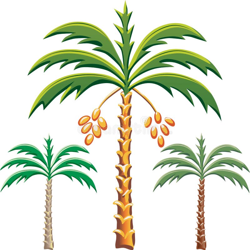 Vector Drie dadelpalmen stock illustratie