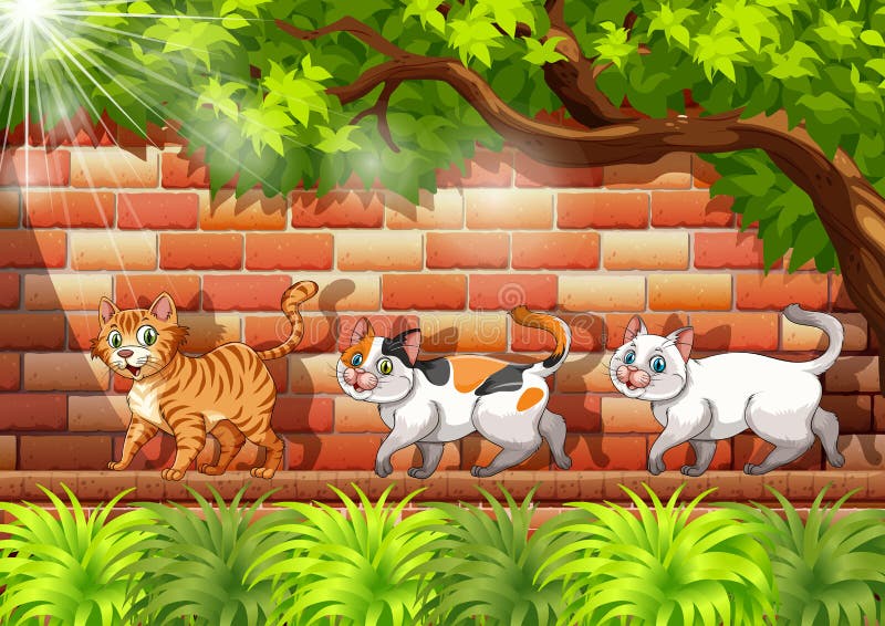 Drie katten die op de muur lopen vector illustratie Drie katten die op de muur lopen vector illustratie