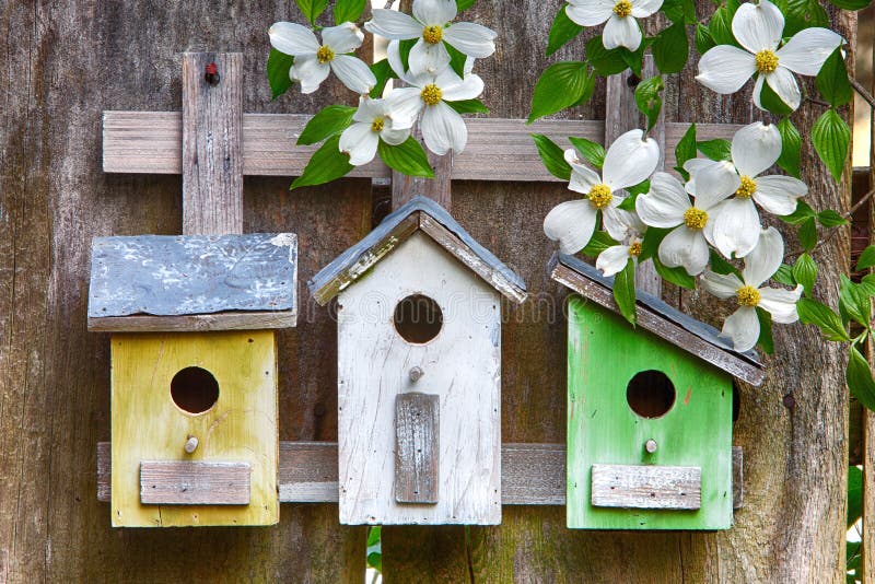 Drie leuke kleine vogelhuizen op houten omheining met bloemen stock foto Drie leuke kleine vogelhuizen op houten omheining met bloemen stock foto