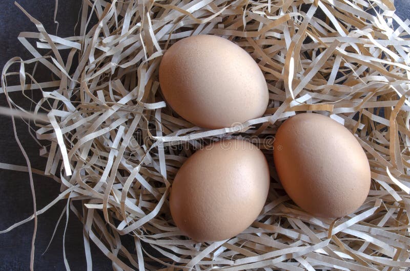 Drie Organische Bruine Eieren in Nest royalty-vrije stock afbeelding Drie Organische Bruine Eieren in Nest royalty-vrije stock afbeelding