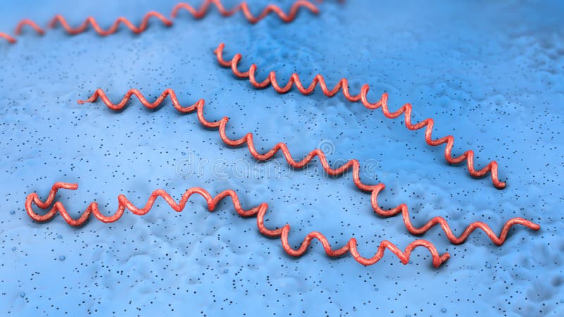 Drie rode gekleurde lyme ziekteziekteverwekkers op blauwe ondergronds stock illustratie Drie rode gekleurde lyme ziekteziekteverwekkers op blauwe ondergronds stock illustratie