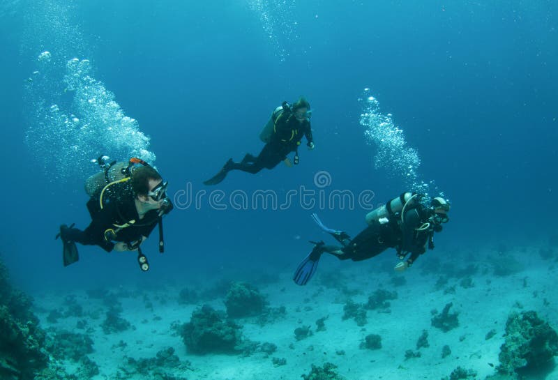 Drie vriendenvrij duiken samen stock fotografie Drie vriendenvrij duiken samen stock fotografie